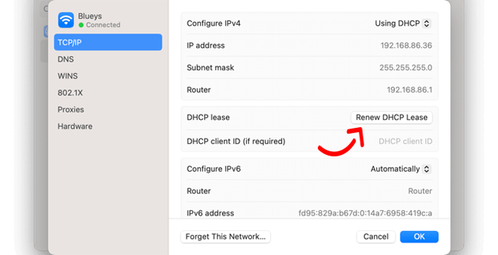 كيفية إصلاح خطأ ERR_CONNECTION_RESET في ووردبريس 15 انقر فوق الزر 'Renew DHCP Lease'.