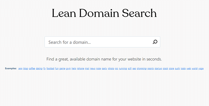 أفضل 12 مولدات اسم الدومين لمساعدتك في اختيار الدومين الخاص بك (سريع) 11 Lean Domain Search