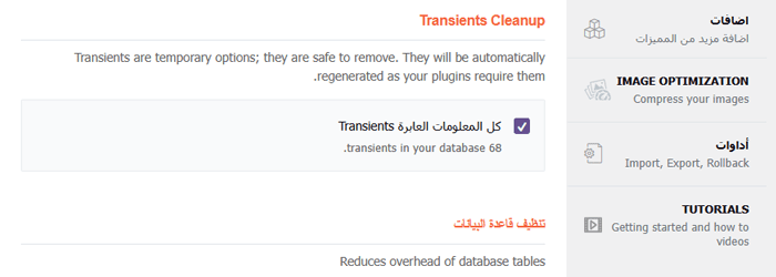 مراجعة WP Rocket: هل هي إضافة تخزين مؤقت ووردبريس مناسبة لك؟ 12 حذف العناصر العابرة من متجرك الإلكتروني أو مدونتك أو موقعك الإلكتروني