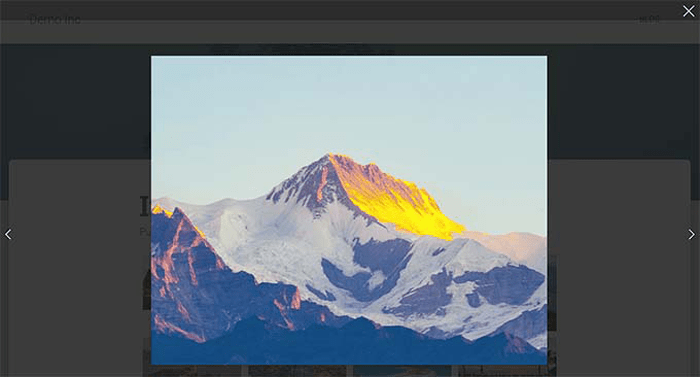 كيفية عرض الصور بالحجم الكامل في ووردبريس (4 طرق سهلة) 8 معاينة صندوق الضوء