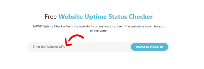 كيفية مراقبة وقت تشغيل سيرفر موقعك الإلكتروني ووردبريس (طريقة سهلة) 12 أداة التحقق من وقت تشغيل IsItWP