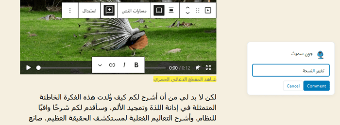 كيفية إضافة التعاون في محرر كتلة ووردبريس (استايل مستندات جوجل) 7 تعليق في كتلة الفيديو